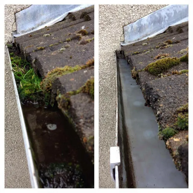 Blocked gutter filled with moss and vegetation before clearance by Lanes Ltd